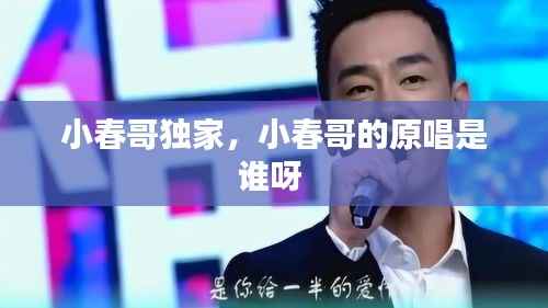小春哥独家,小春哥的原唱是谁呀