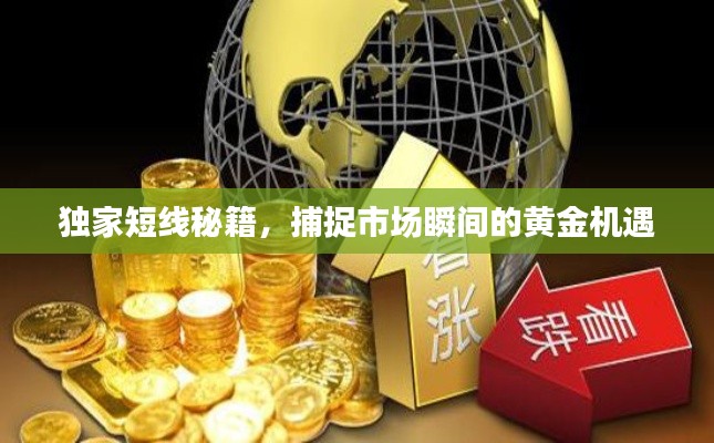 独家短线秘籍,捕捉市场瞬间的黄金机遇