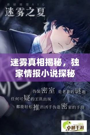 迷雾真相揭秘,独家情报小说探秘之旅