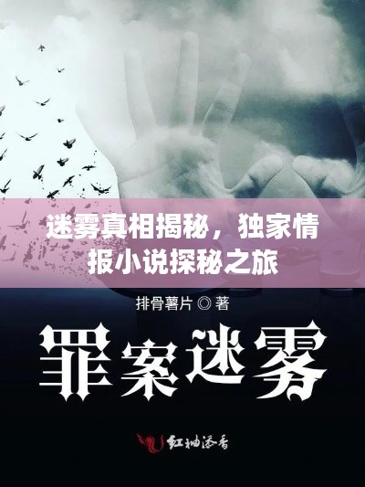 迷雾真相揭秘,独家情报小说探秘之旅