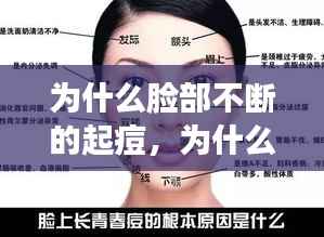 为什么脸部不断的起痘,为什么脸上不停的长痘痘