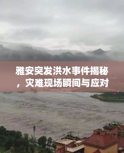 雅安突发洪水事件揭秘,灾难现场瞬间与应对之策视频放送