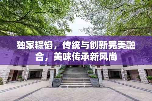 独家粽馅,传统与创新完美融合,美味传承新风尚