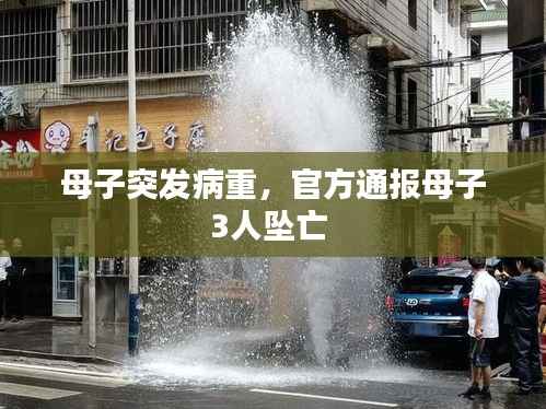 母子突发病重,官方通报母子3人坠亡