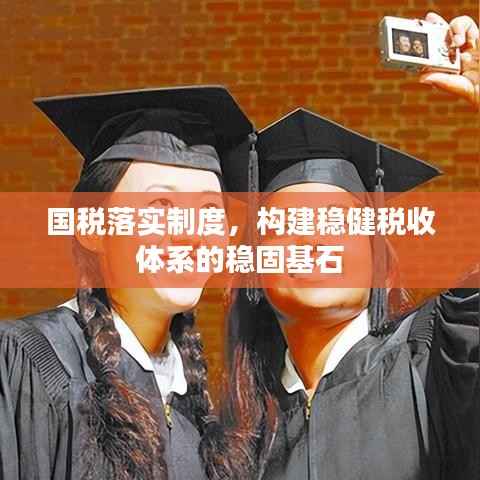 国税落实制度,构建稳健税收体系的稳固基石