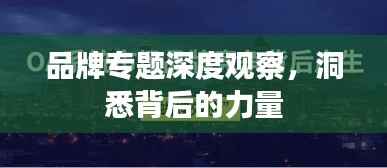 品牌专题深度观察,洞悉背后的力量