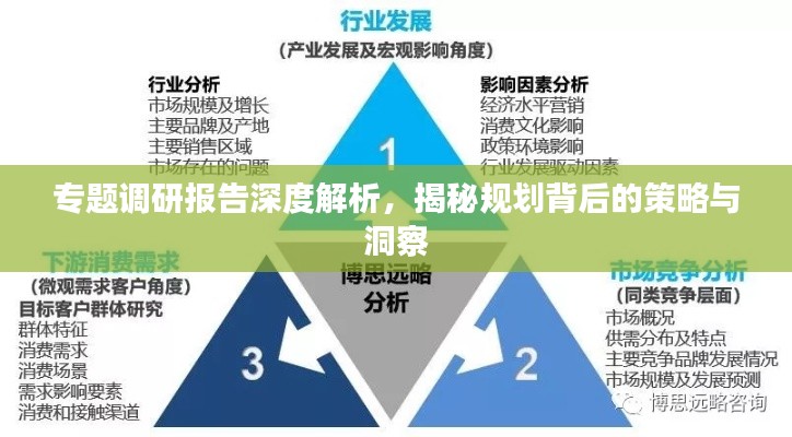专题调研报告深度解析,揭秘规划背后的策略与洞察
