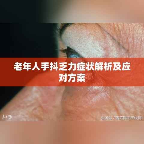 老年人手抖乏力症状解析及应对方案