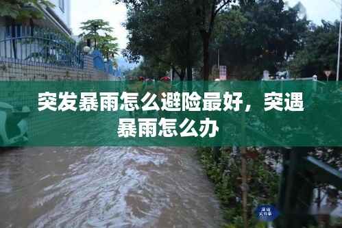 突发暴雨怎么避险最好,突遇暴雨怎么办