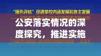公安落实情况的深度探究,推进实施成效与未来展望
