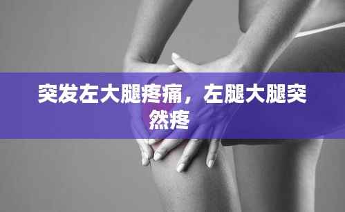 物稀为贵 第2页