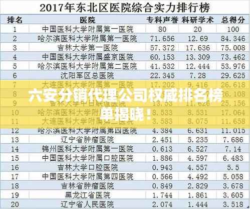 六安分销代理公司权威排名榜单揭晓!