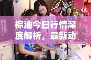 棕油今日行情深度解析,最新动态一网打尽