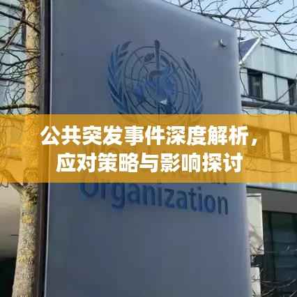 公共突发事件深度解析,应对策略与影响探讨
