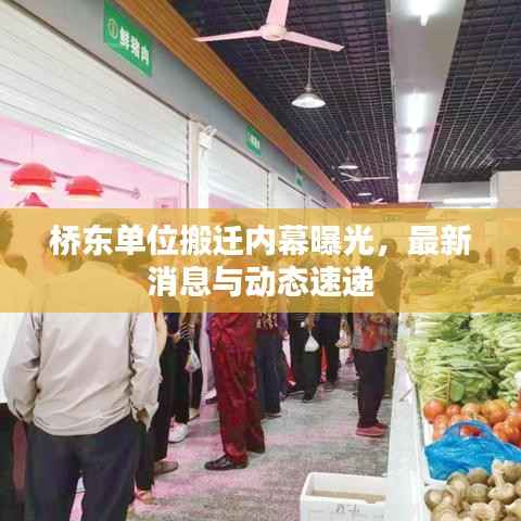 桥东单位搬迁内幕曝光,最新消息与动态速递