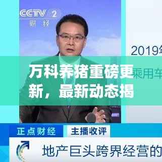 万科养猪重磅更新，最新动态揭秘