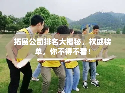 拓展公司排名大揭秘,权威榜单,你不得不看!
