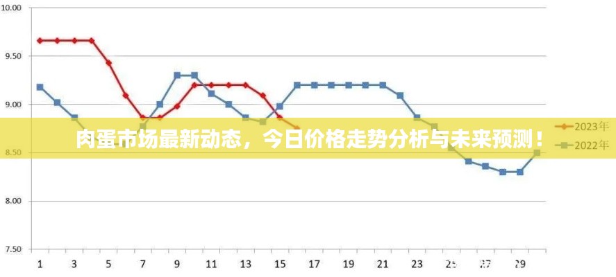 肉蛋市场最新动态,今日价格走势分析与未来预测!