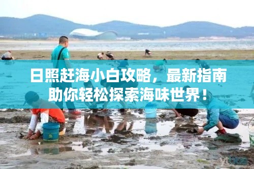 日照赶海小白攻略,最新指南助你轻松探索海味世界!
