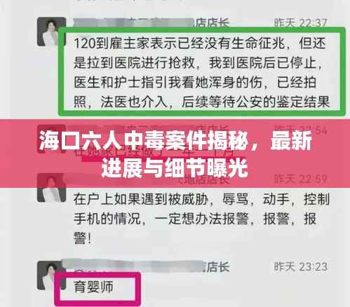 海口六人中毒案件揭秘,最新进展与细节曝光