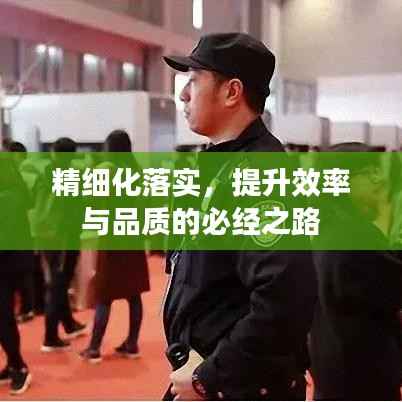 精细化落实,提升效率与品质的必经之路