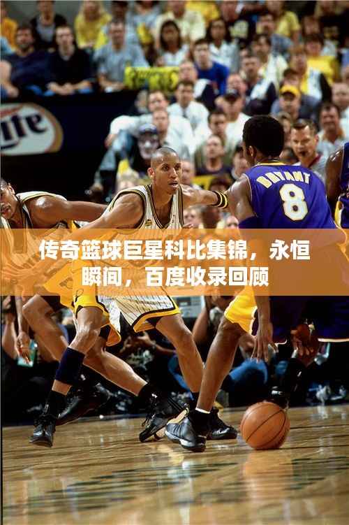 传奇篮球巨星科比集锦,永恒瞬间,百度收录回顾