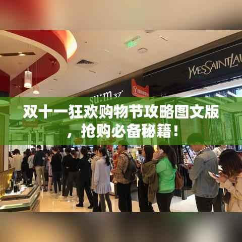 双十一狂欢购物节攻略图文版,抢购必备秘籍!