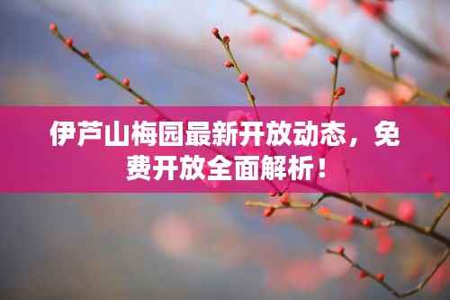伊芦山梅园最新开放动态,免费开放全面解析!