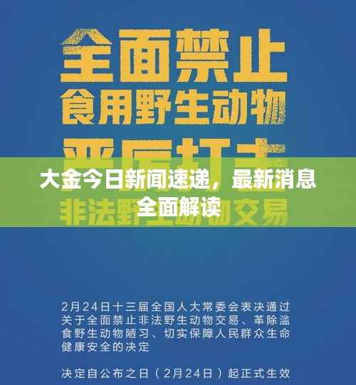 大金今日新闻速递,最新消息全面解读