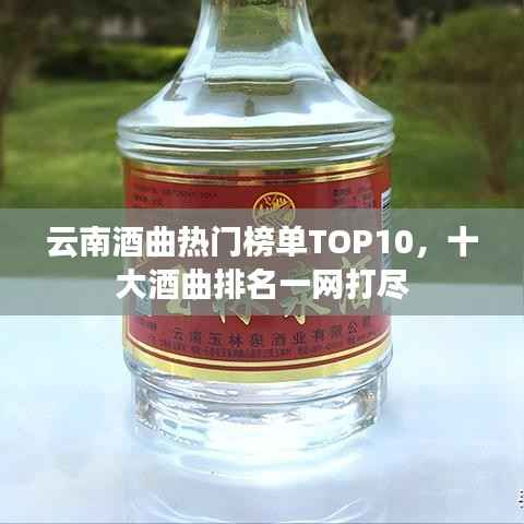 云南酒曲热门榜单TOP10,十大酒曲排名一网打尽