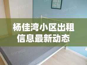 杨佳湾小区出租信息最新动态速递