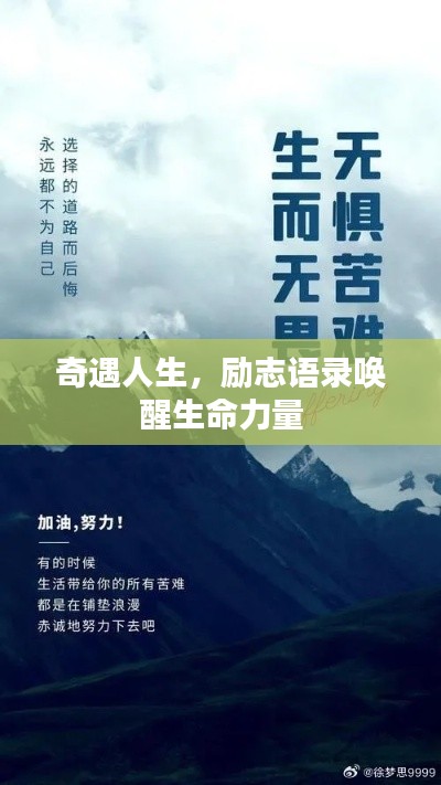 奇遇人生,励志语录唤醒生命力量