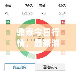 鼎泰今日行情,最新消息新闻速递