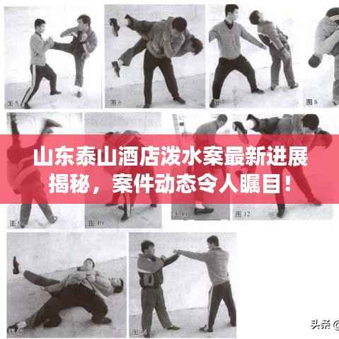 山东泰山酒店泼水案最新进展揭秘,案件动态令人瞩目!