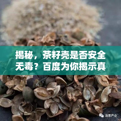 揭秘,茶籽壳是否安全无毒?百度为你揭示真相!