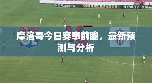 摩洛哥今日赛事前瞻,最新预测与分析