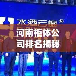 河南柜体公司排名揭秘,行业深度分析与趋势预测