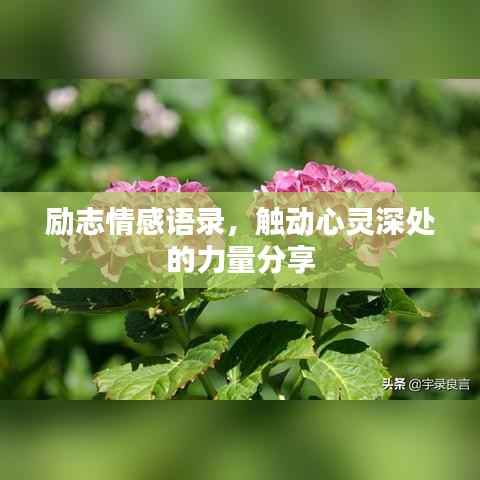 励志情感语录,触动心灵深处的力量分享