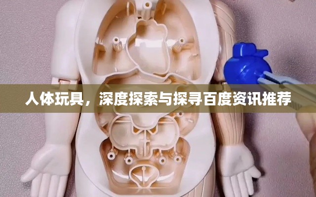 人体玩具,深度探索与探寻百度资讯推荐