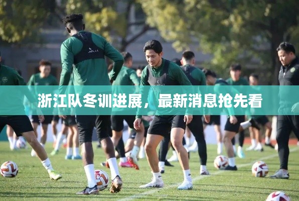 浙江队冬训进展,最新消息抢先看