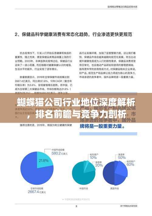 蝴蝶猫公司行业地位深度解析,排名前瞻与竞争力剖析