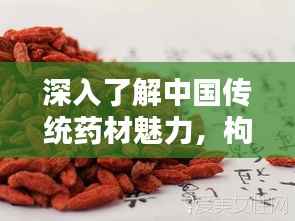 深入了解中国传统药材魅力,枸杞子的奥秘揭秘