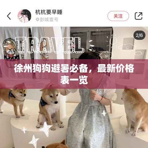 徐州狗狗避暑必备,最新价格表一览