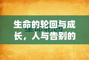 生命的轮回与成长,人与告别的深度对话