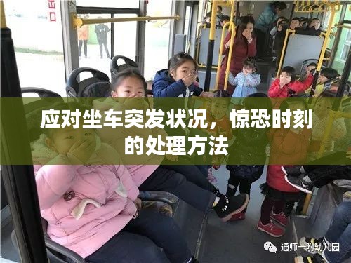 应对坐车突发状况,惊恐时刻的处理方法