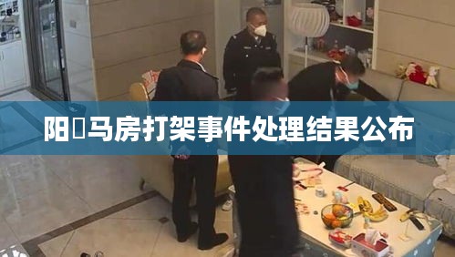 阳堌马房打架事件处理结果公布
