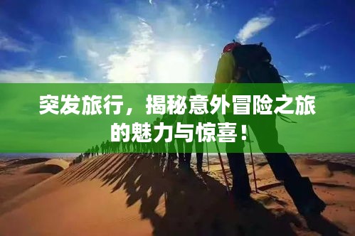 突发旅行，揭秘意外冒险之旅的魅力与惊喜！