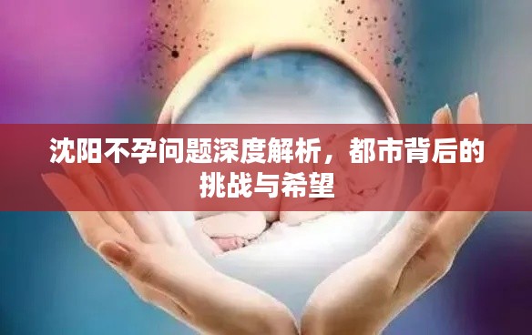 沈阳不孕问题深度解析，都市背后的挑战与希望