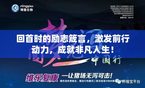 回首时的励志箴言,激发前行动力,成就非凡人生!